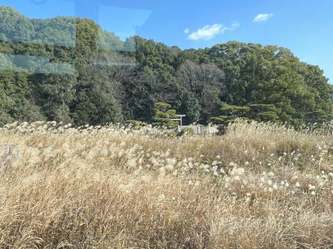 渋谷向山古墳