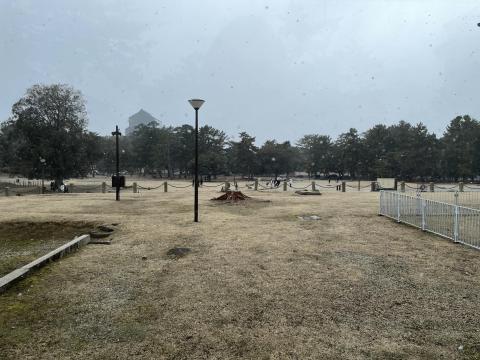 奈良公園
