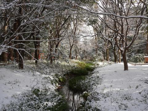 泉川