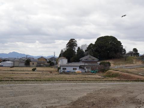 春日神社