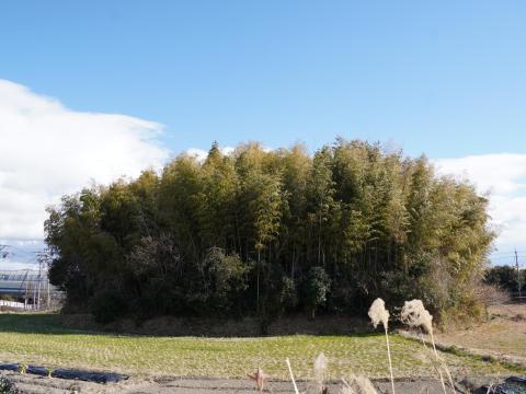 番山古墳