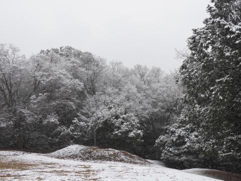 飛火野