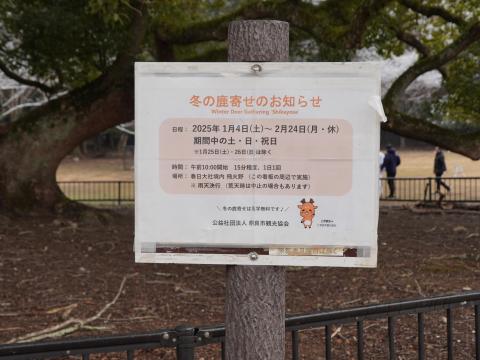 飛火野