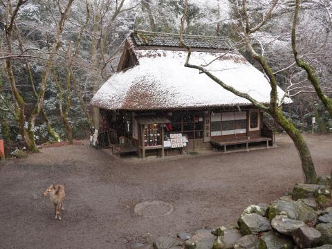 水谷茶屋