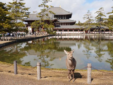 鏡池