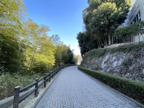 関西大学