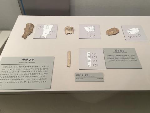 甲骨文字