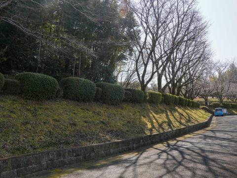 メスリ山古墳
