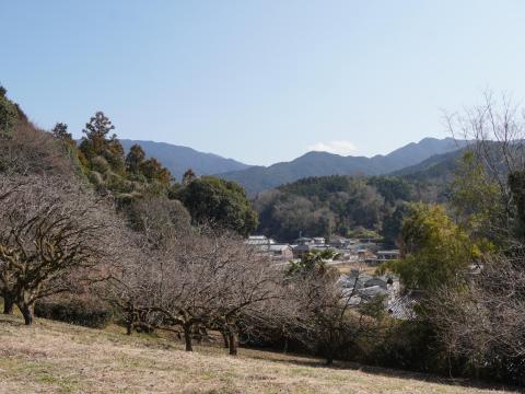 メスリ山古墳