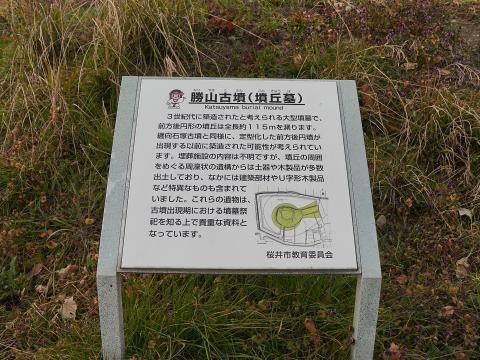 勝山古墳