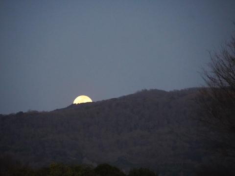 若草山の満月