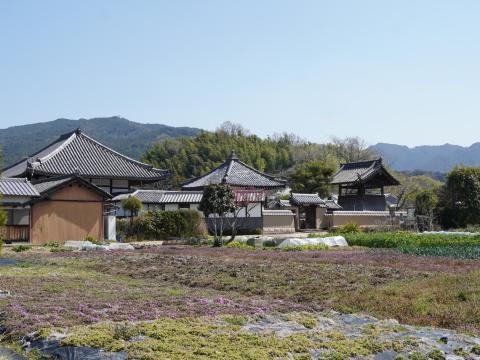 飛鳥寺