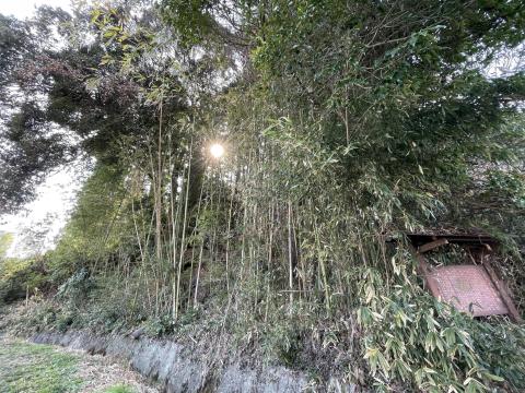 メスリ山古墳
