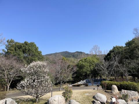 万葉庭園