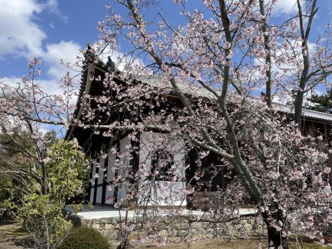 広隆寺講堂