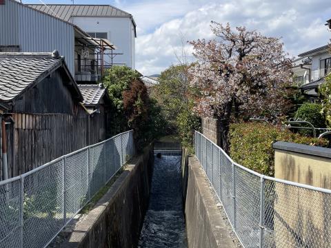西高瀬川