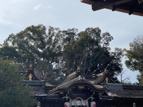 平野神社