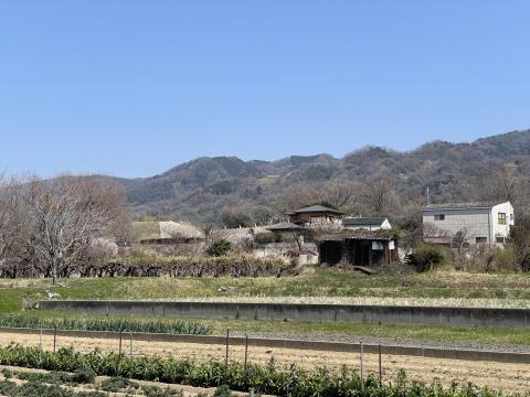 心合寺山古墳