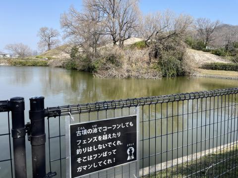 心合寺山古墳