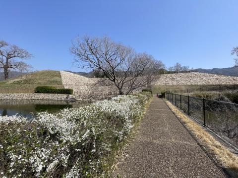 心合寺山古墳