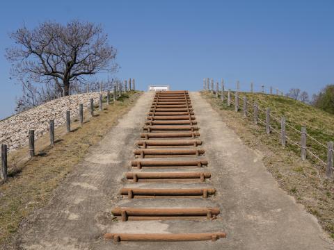 心合寺山古墳後円部