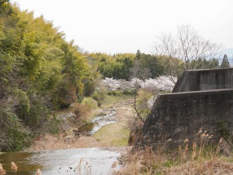 玉川