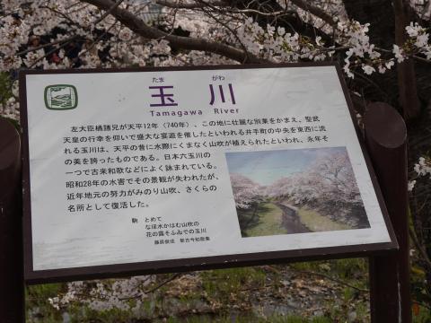 玉川の説明
