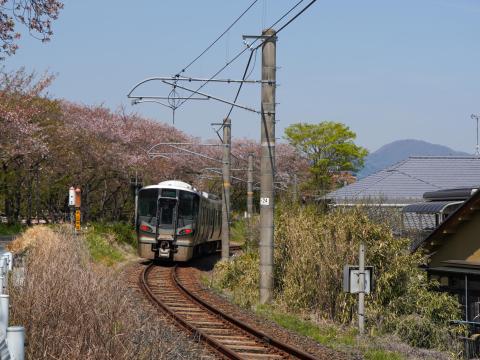 JR西 和歌山線