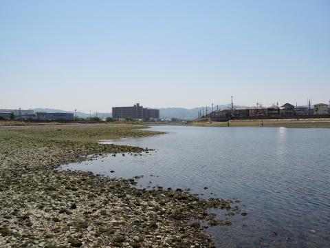 男里川河口