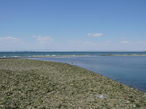 男里川左岸河口