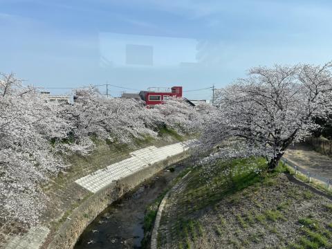 佐保川