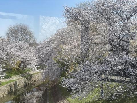 佐保川