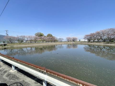 キトラ池