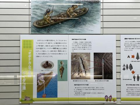 イイダコ漁