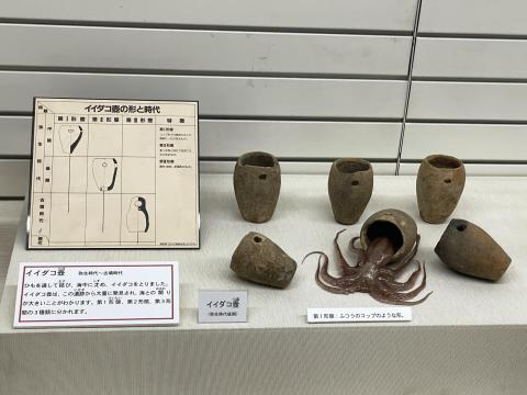 イイダコ壺