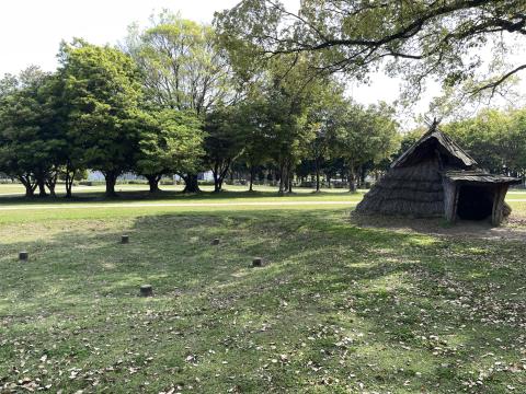 復元竪穴住居8号