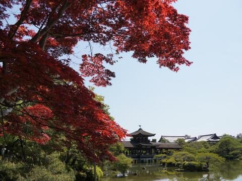 東神苑
