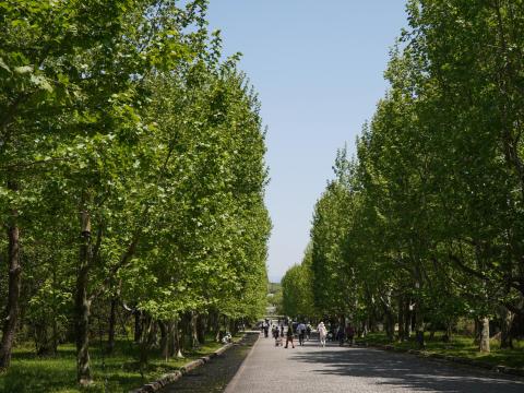 西大路