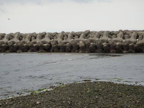 尾崎の浜