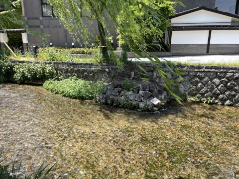 白川
