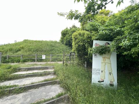 芝ヶ原古墳