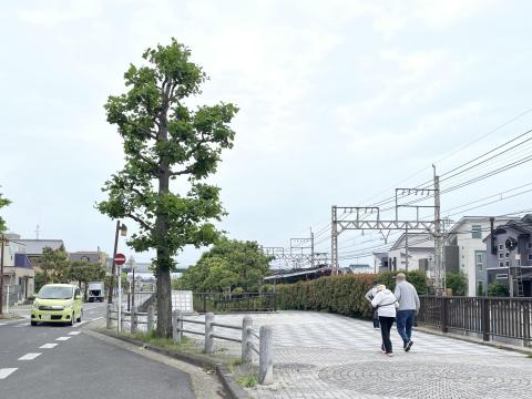 寺田駅付近