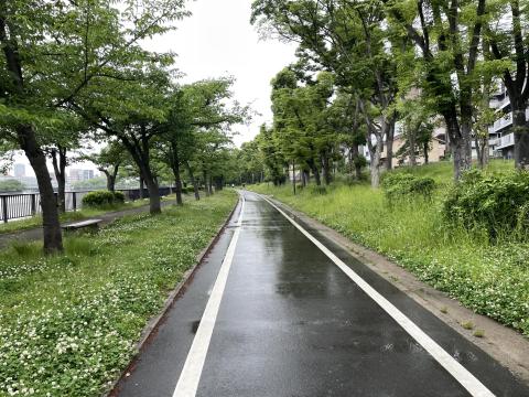 大川端