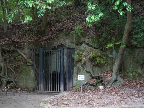 第3支群28号墳