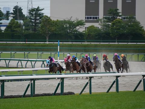 加古川特別