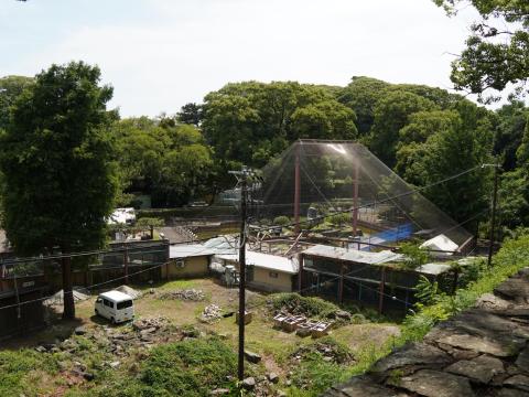 動物園