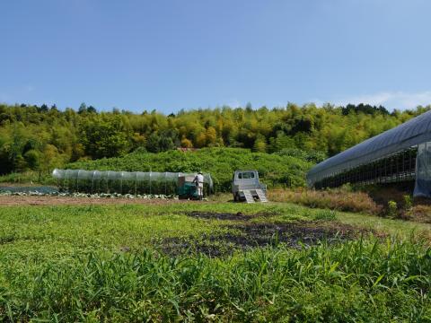 カナヅカ古墳