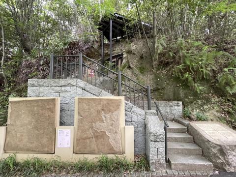 第3支群5号墳