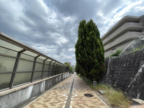 遊歩道