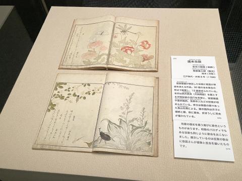 画本虫撰